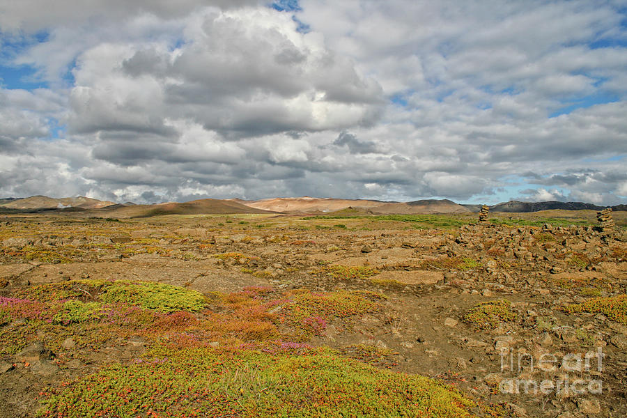 Summer landscape in Iceland Photograph by Patricia Hofmeester