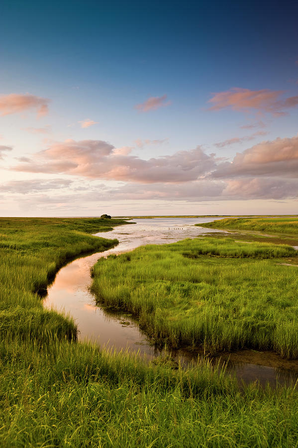 Summer Marshland At Sunset #1 Photograph by Paul Giamou Summer Marshland At Sunset #1 Photograph by Paul Giamou