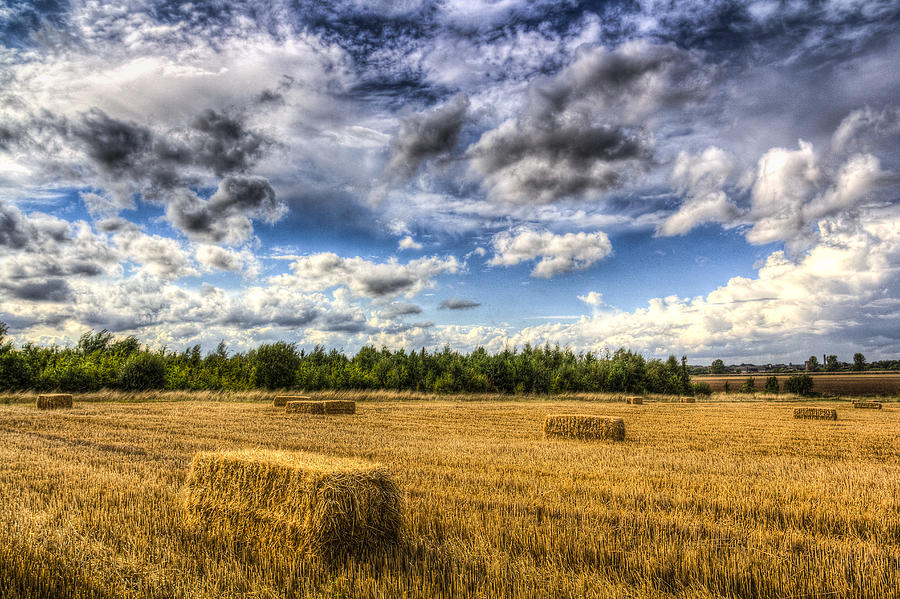 Summer On The Farm Photograph By David Pyatt - Fine Art America