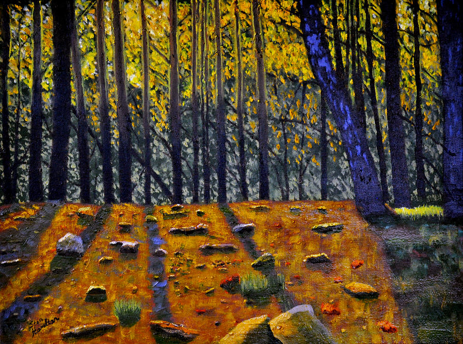 Sun on Rocks #1 Painting by Stan Hamilton