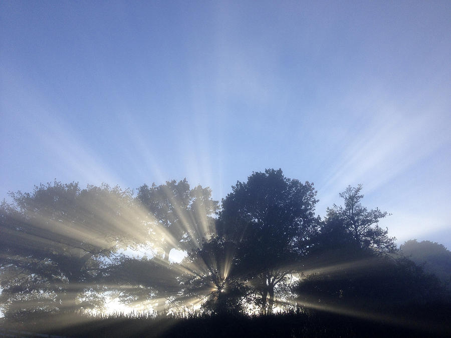 Nature Photograph - Sun rays #1 by Les Cunliffe