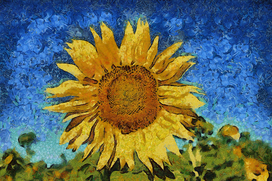 Sunflower Field #2 Digital Art by Roy Pedersen