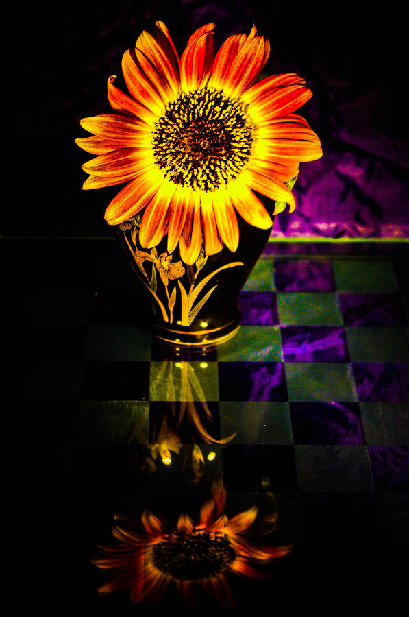 Sunflower #1 Photograph by Gerald Kloss
