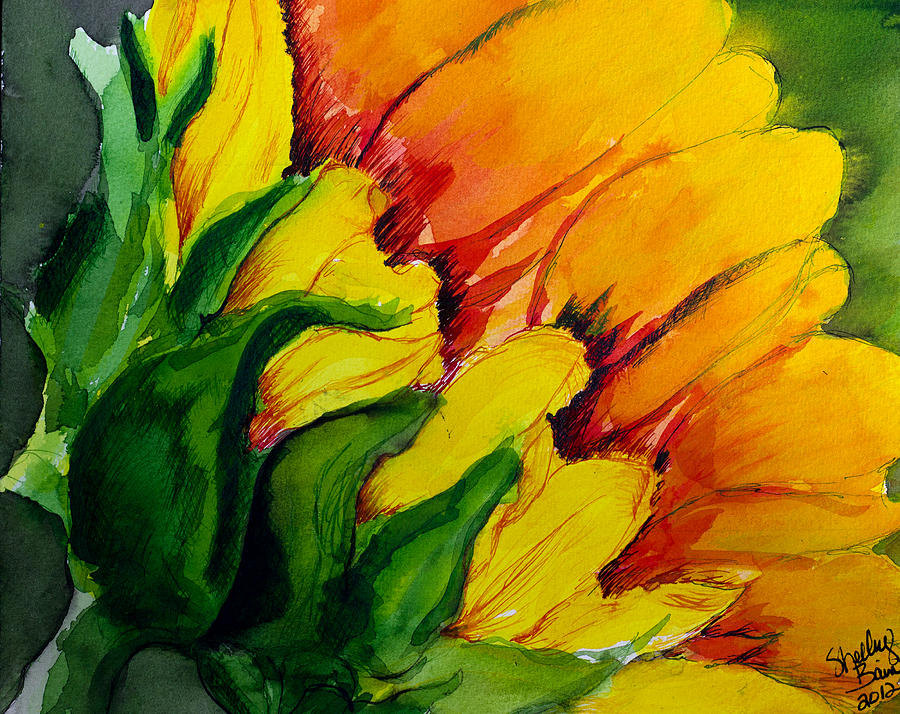 Sunflower #1 Painting by Shelley Bain