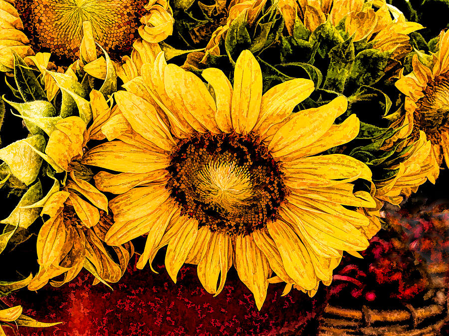 Sunflowers #1 Photograph by David Kay