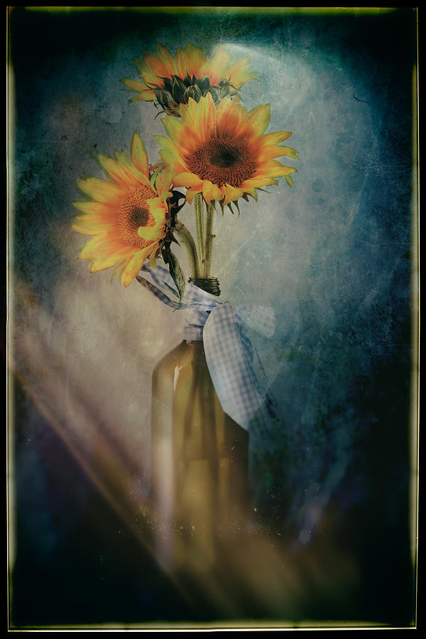 Sunflowers #1 Photograph by James Bethanis
