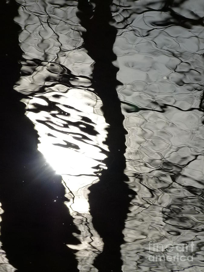 Sunlight On Water Photograph by Jane Ford