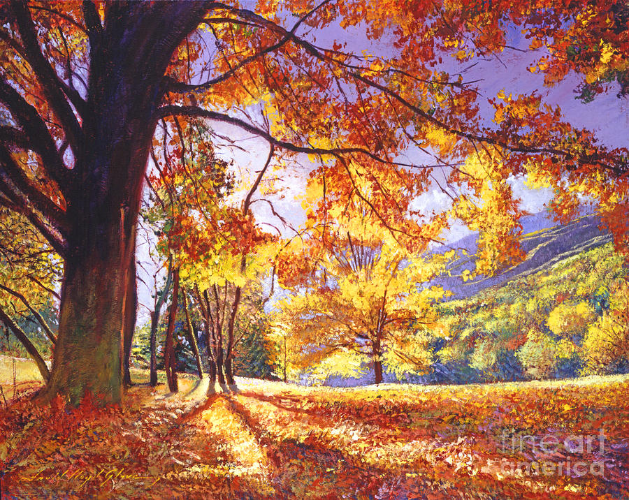Sunlight Through The Trees #1 Painting by David Lloyd Glover