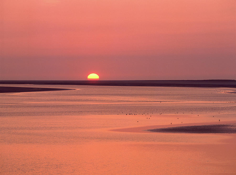 Sunrise At Bay Of Mont Saint-michel #1 Photograph by Panoramic Images