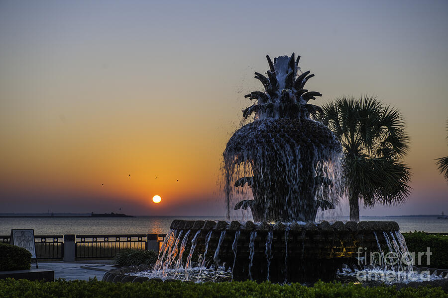 Sunrise at Waterfront Park - Pineapple Fountain - Lowcountry Magical Light Photograph by Dale Powell