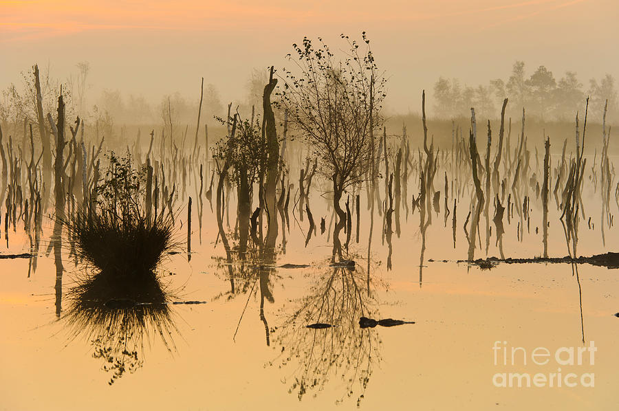 Nature Photograph - Sunrise In Germany #3 by Willi Rolfes