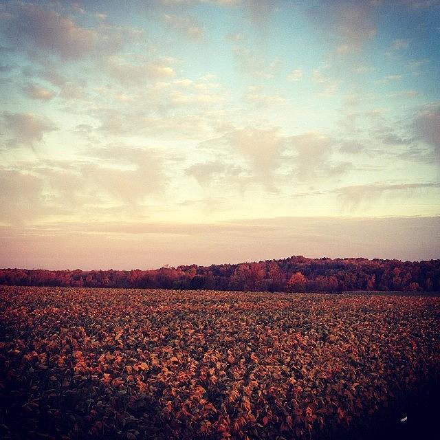 Sunrise. Ne Ohio. 10.26.2013 #1 Photograph by Don Batisky
