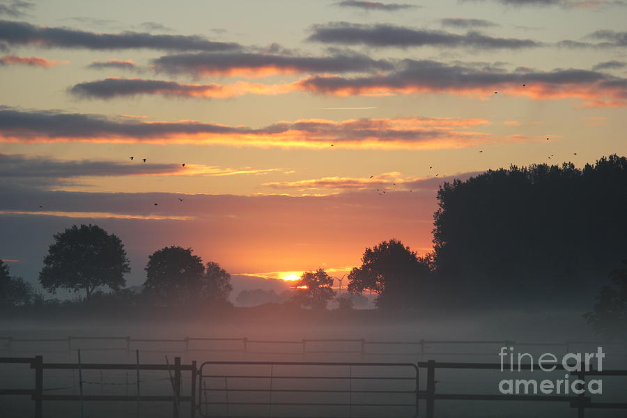 Sunrise On A Foggy Morning Photograph