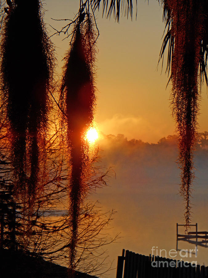 Sunrise on Lake Weir - 3 #1 Photograph by Tom Doud