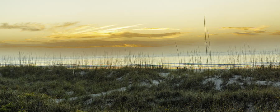 Sunrise - Palmetto Dunes #1 Photograph by Neil Doren