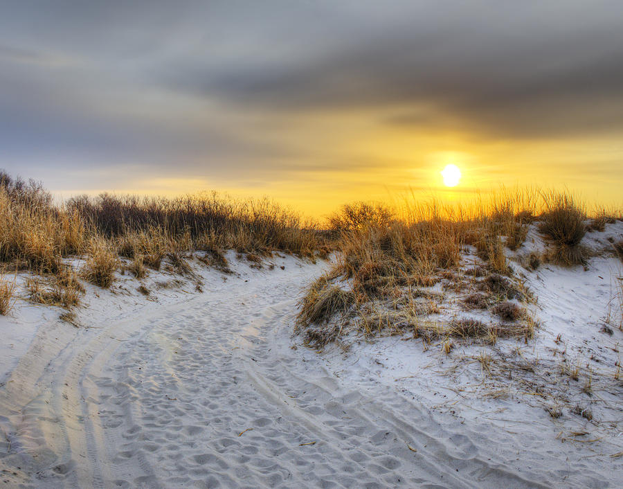 Sunrise Walk Photograph by Vicki Jauron | Fine Art America