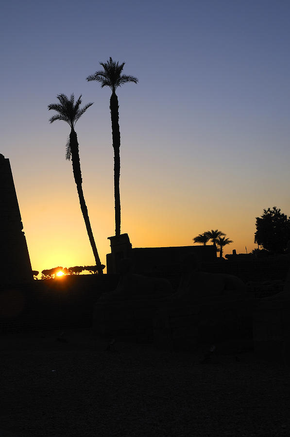 Sunset at Luxor Egypt #1 Photograph by Brenda Kean
