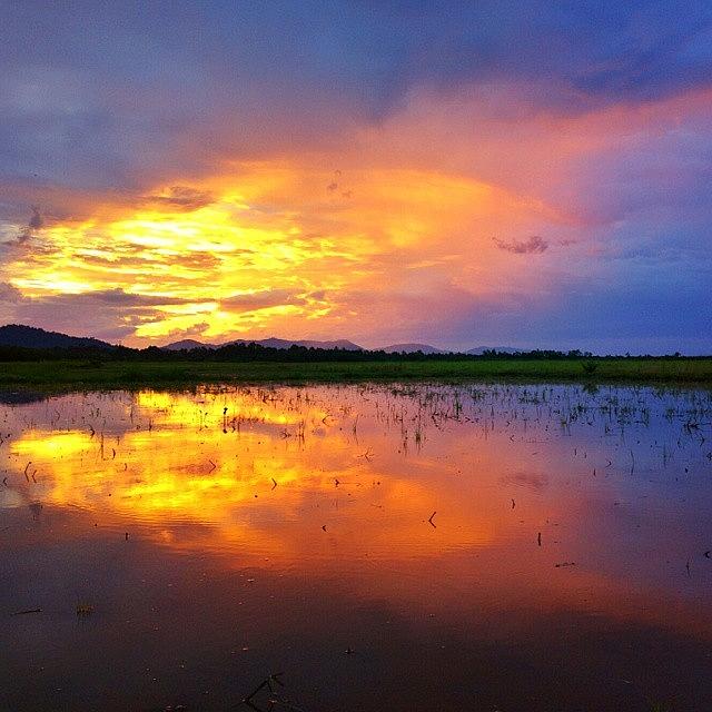 Besut Photograph - Sunset At Paddy Field #1 by Abdul Muhaimin Farid