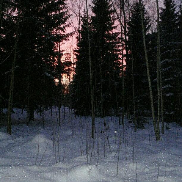 Winter Photograph - Sunset #1 by Eve Tamminen
