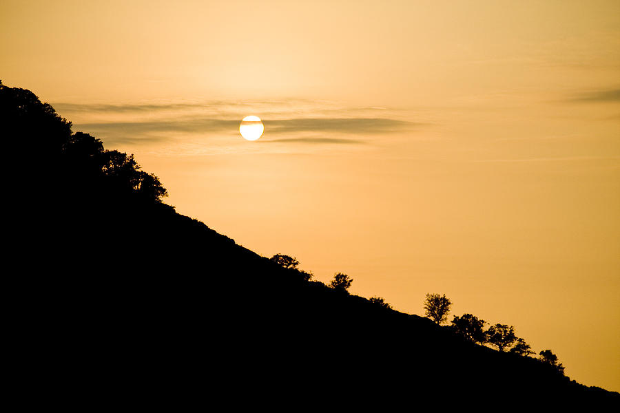 Sunset golden color with tree #1 Photograph by Raimond Klavins