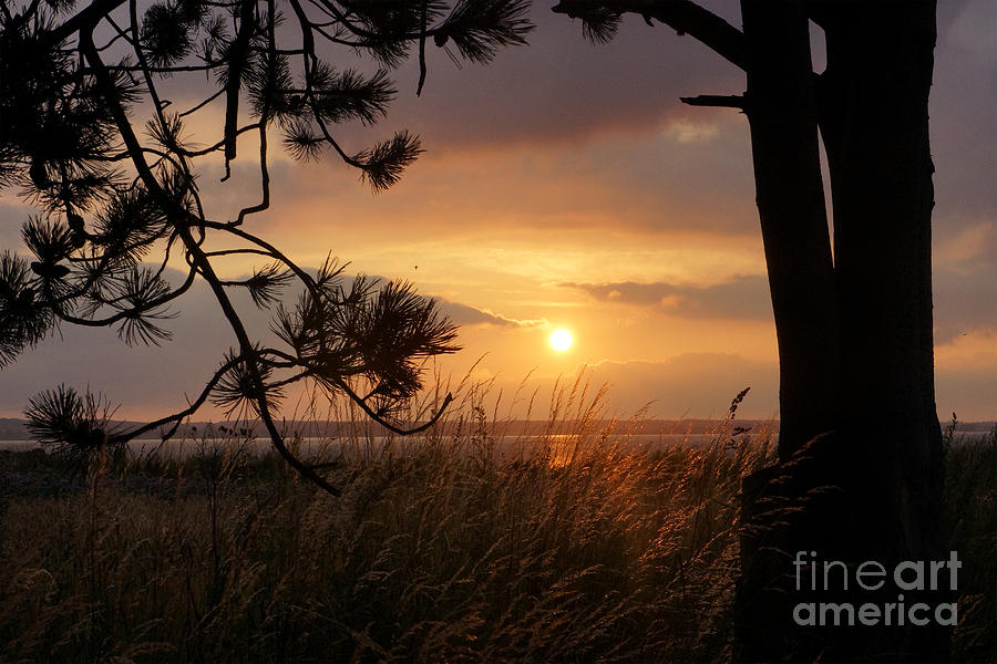 Sunset #1 Photograph by Inge Riis McDonald