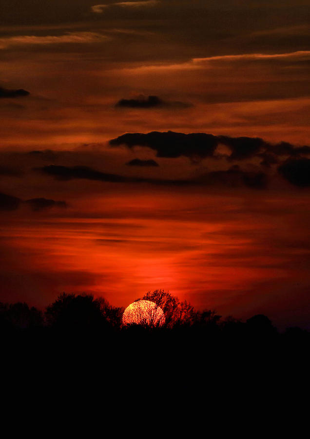 Sunset #3 Photograph by Jimmy McDonald