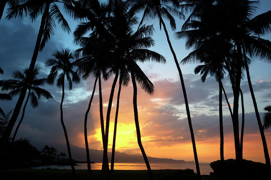 Sunset On The North Shore Of Maui #1 Photograph by Ron Dahlquist