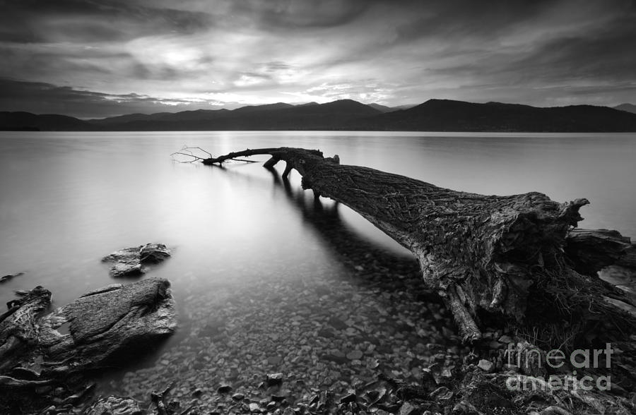 Nature Photograph - Sunset over fallen tree Lake Maggiore Italy #1 by Matteo Colombo