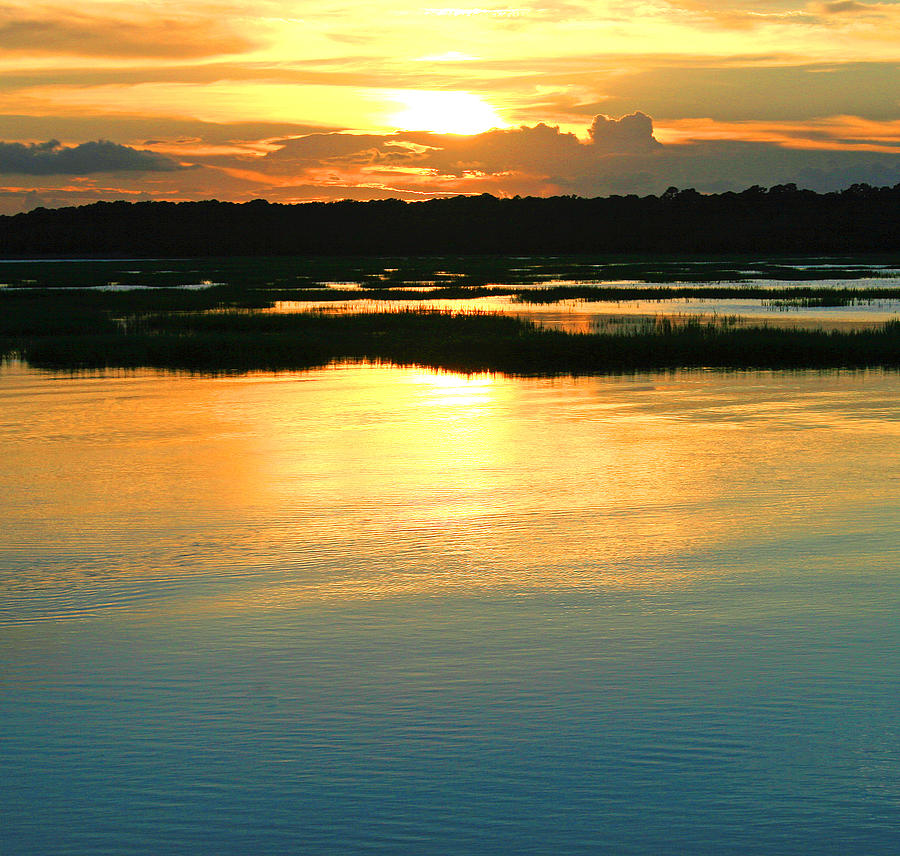 Landscape Photograph - Sunset over the Marsh #1 by Tony Delsignore