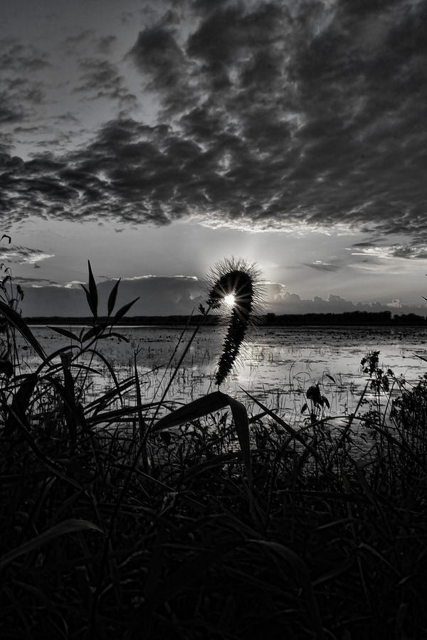 Shining Sun Over The Refuge Photograph by Dale Kauzlaric