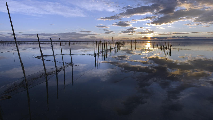 Sunset Reflection Photograph by Andres Lafuente - Fine Art America