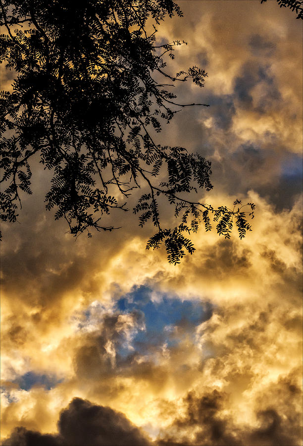 Sunset #1 Photograph by Robert Ullmann