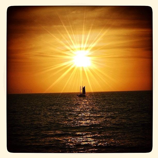 Sunset Sail #1 Photograph by Natasha Marco