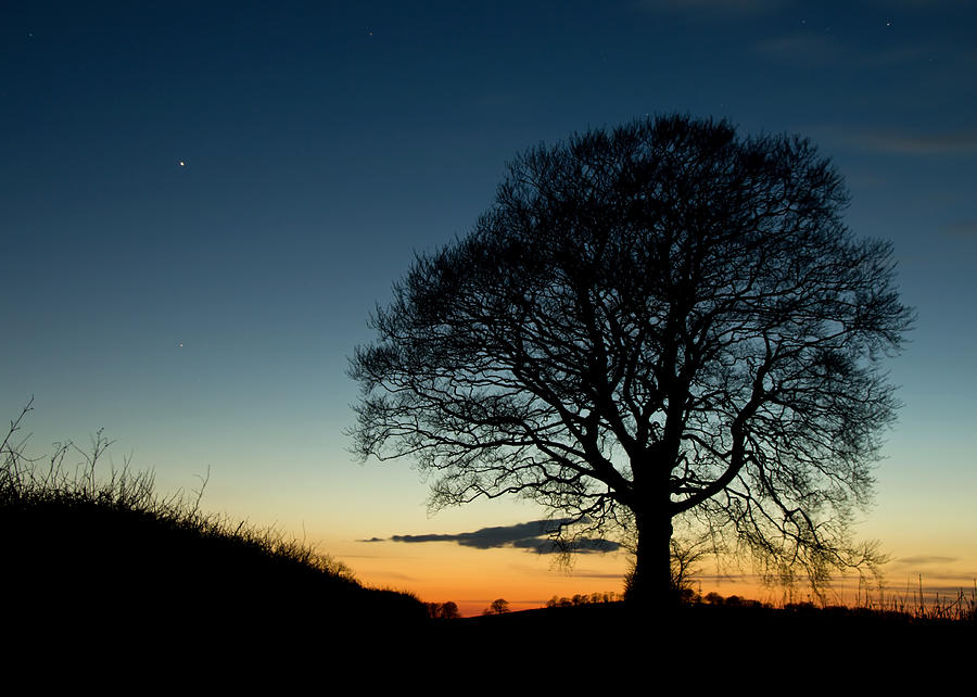 Sunset silhouette #1 Photograph by Pete Hemington