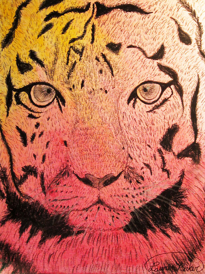 Sunset Drawing - Sunset Tiger #1 by Lauren Baker