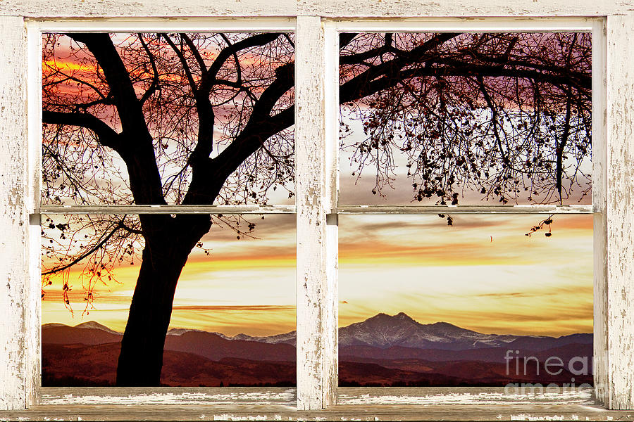 Sunset Tree Silhouette Abstract Picture Window View #1 Photograph by James BO Insogna