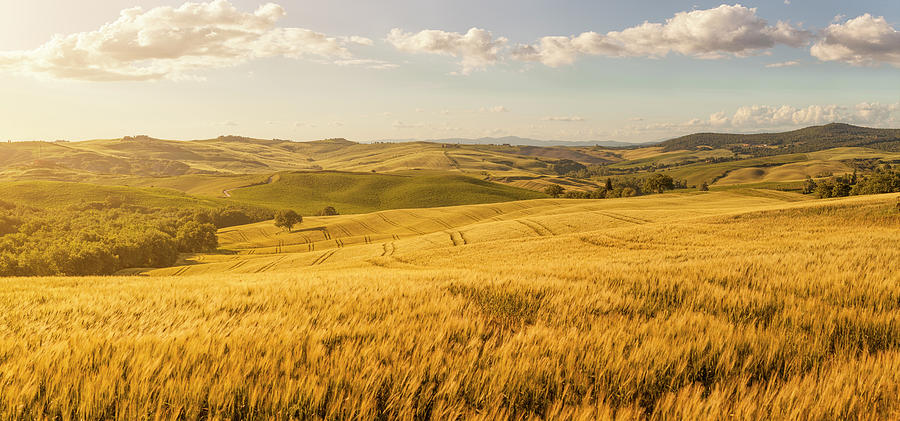 Sunset Tuscany Landscape #1 Photograph by Focusstock