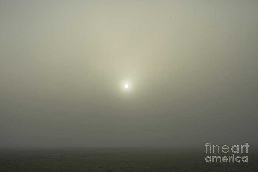 Sunshine in the fog  Photograph by Patricia Hofmeester