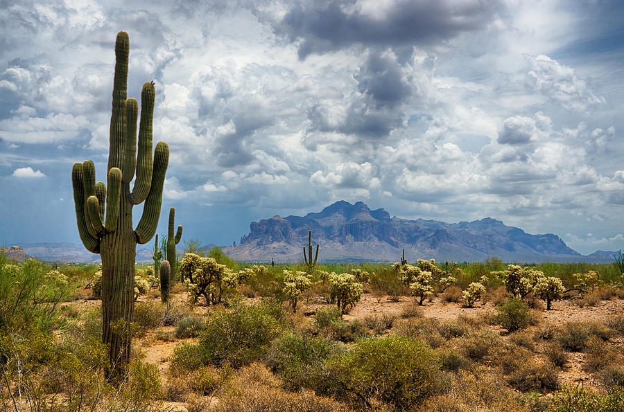 Superstition Mountains Photograph by Saija Lehtonen | Fine Art America