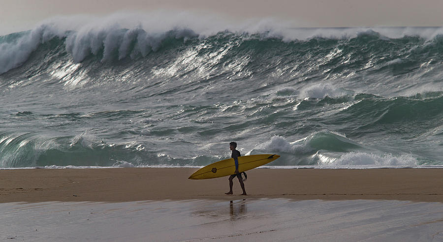 Surfer Walking On The Beach, Hawaii, Usa #1 Photograph by Panoramic Images