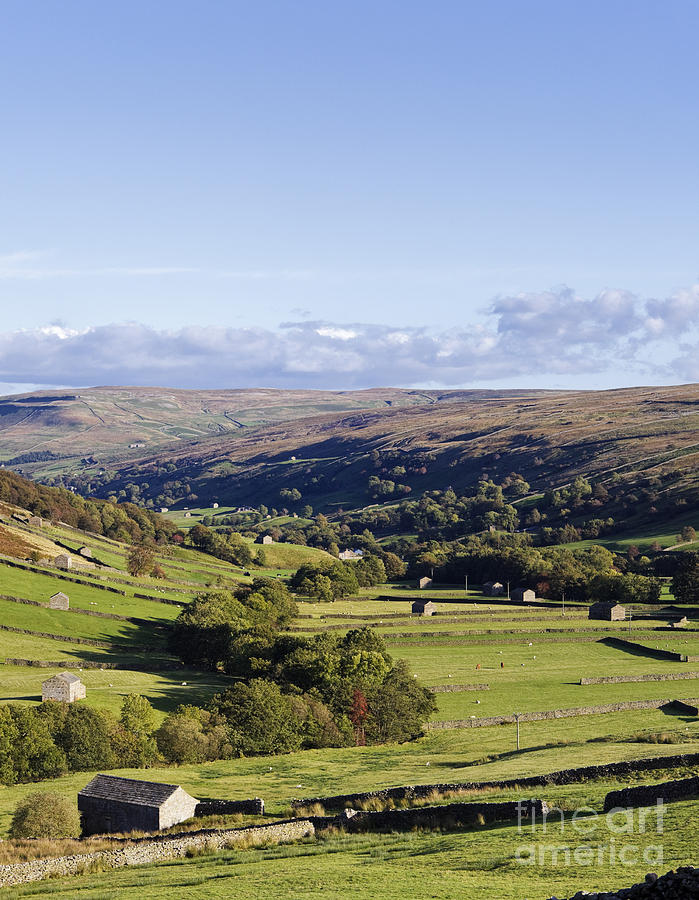 Swaledale Yorkshire Dales England Uk Photograph by Jon Boyes