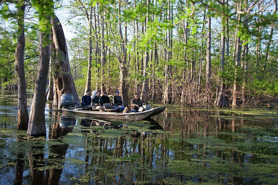 Spring Photograph - Swamp Tour #1 by Jim West