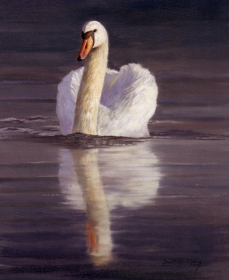 Swan Painting - Swan #2 by David Stribbling