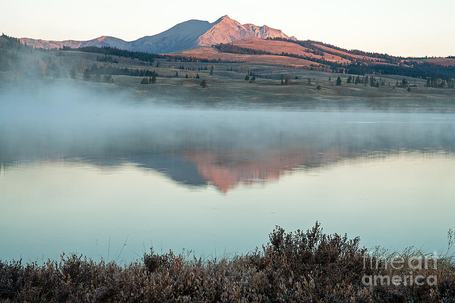 Swan Lake in Yellowstone National Park #1 Photograph by Fred Stearns