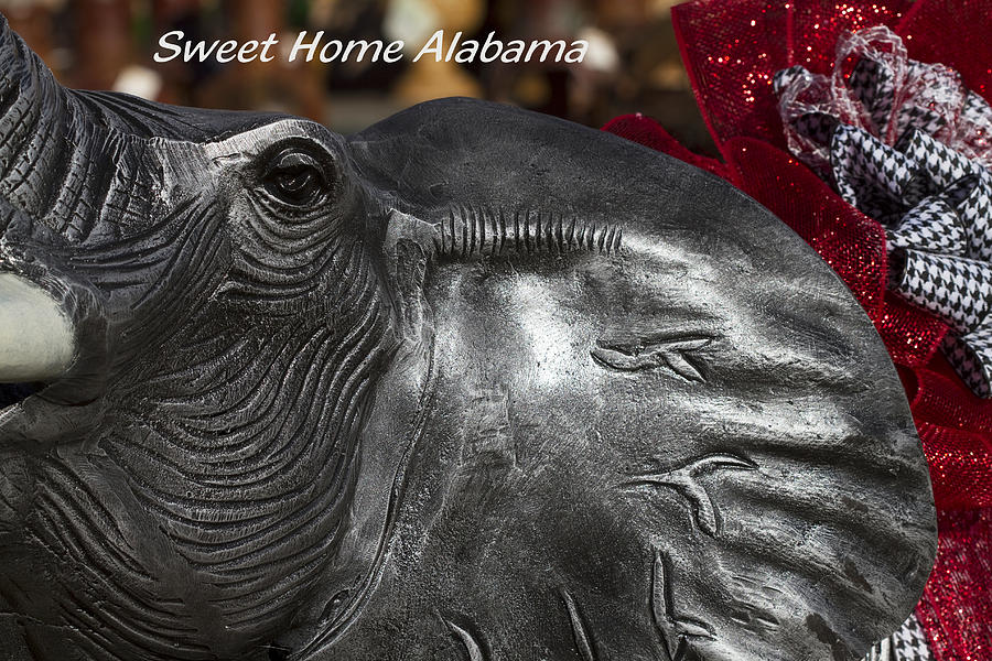Sweet Home Alabama #1 Photograph by Kathy Clark
