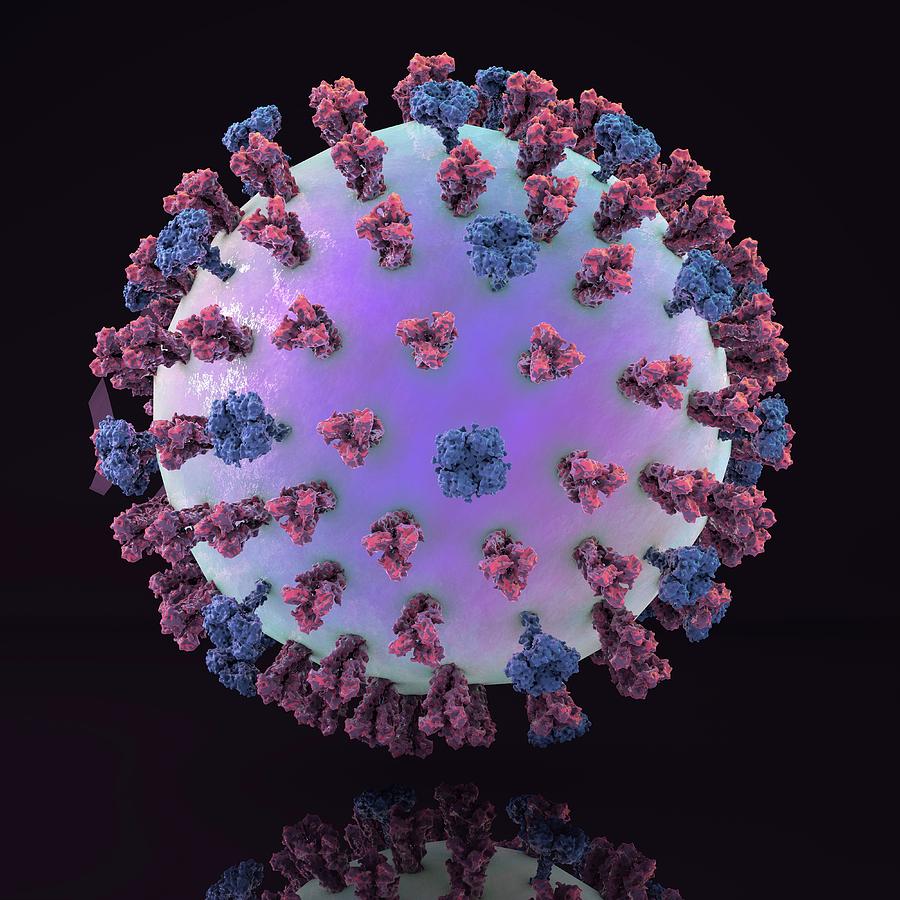 Swine Flu Virus H1n1 Photograph by Kateryna Kon