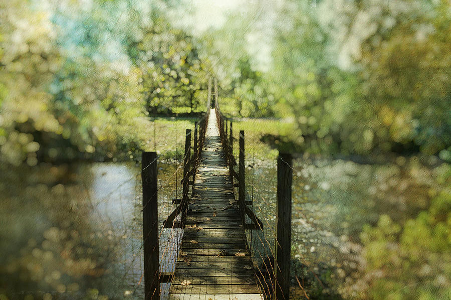 Swinging Bridge #1 Photograph by Kathy Jennings