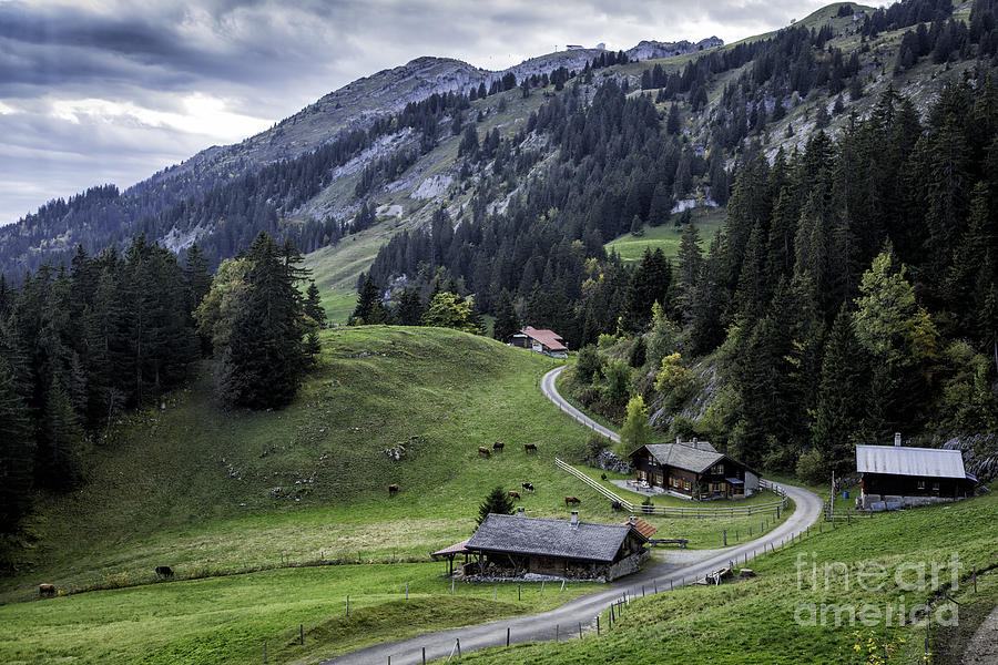 Swiss Farm #1 Photograph by Timothy Hacker