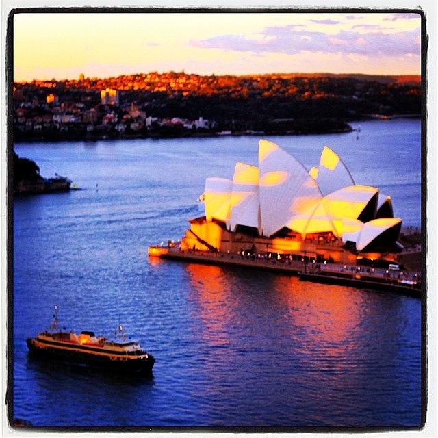 Sunset Photograph - Sydney Opera House Sunset by Dan Morris