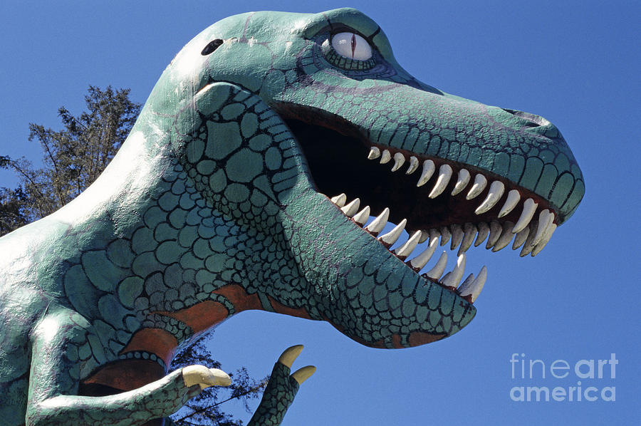 T-Rex #1 Photograph by Jim Corwin